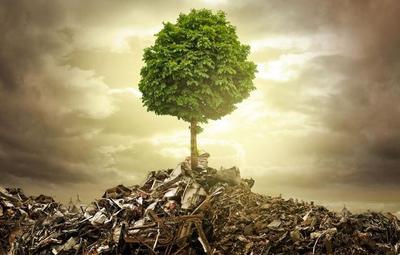 垃圾回收催生新職業 別因舊眼光錯過新風口